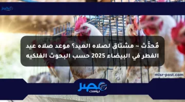 مُحدَّث ~ مشتاق لصلاة العيد؟ موعد صلاة عيد الفطر في البيضاء 2025 حسب البحوث الفلكية